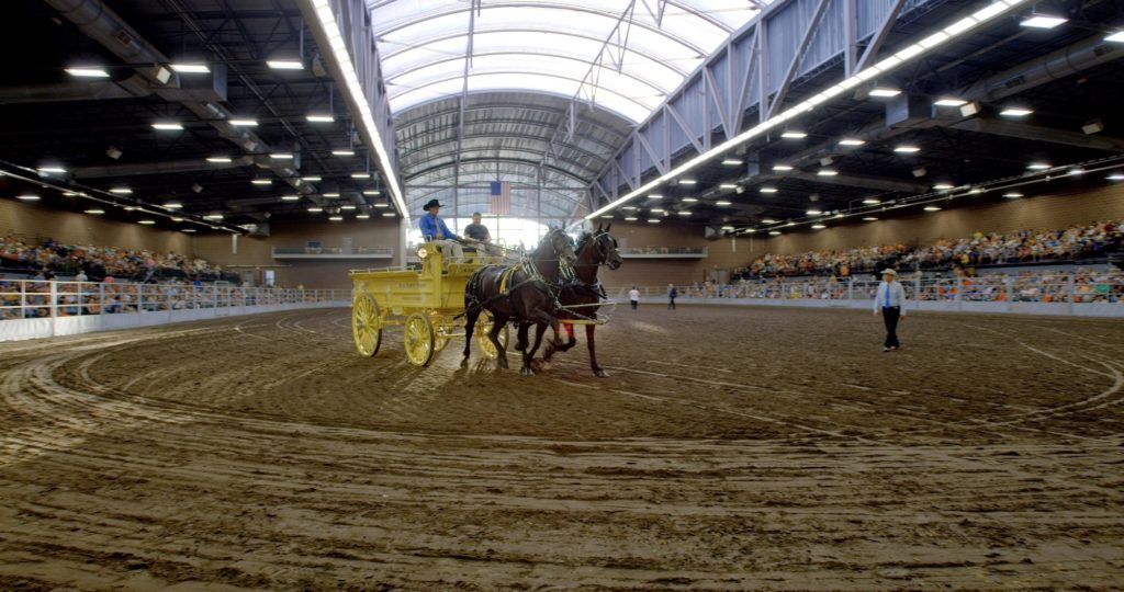 Pros and Cons of Dirt Flooring in Arena Architecture